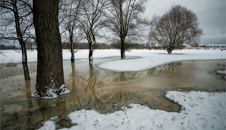 Калужская оттепель не заставила себя долго ждать