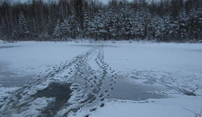 Жестокий, наглый, дерзкий