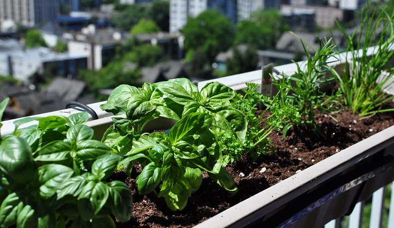 Сильное звено