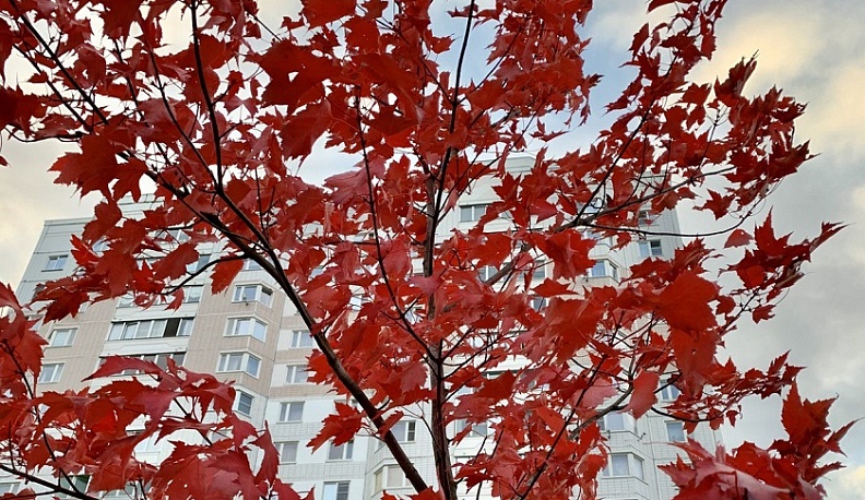 МЧС предупреждает калужан о заморозках