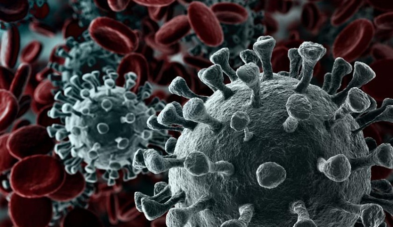 Количество заболевших коронавирусом в Калужской области не изменилось