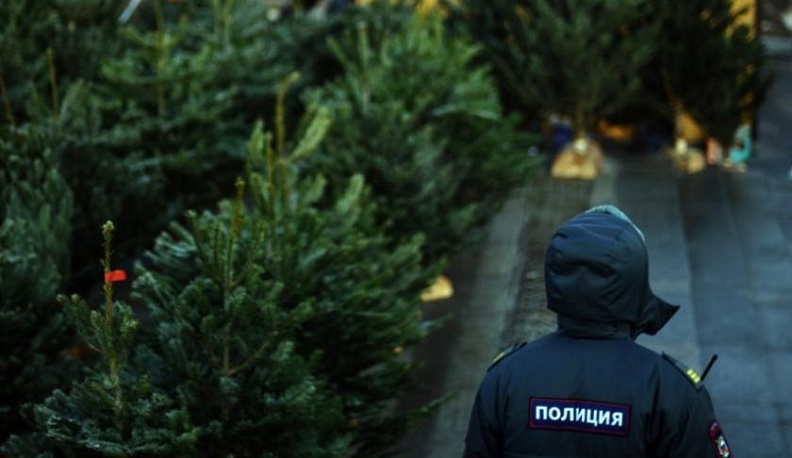 В праздники безопасность калужан обеспечат 1,5 тысячи полицейских 