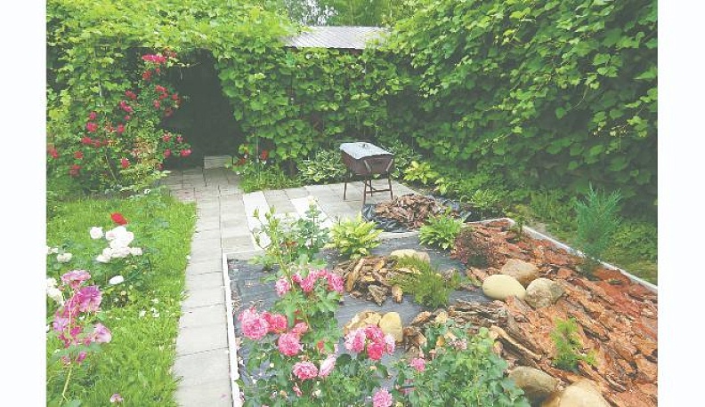 Семья Кузнецовых сделала очень уютный двор у дома № 15 на улице Гвардейской. Двор расположен так, что никто посторонний с вандальными целями сюда не заходит, поэтому весь ландшфтный дизайн сохраняется в том виде, в каком был создан хозяевами изначально.