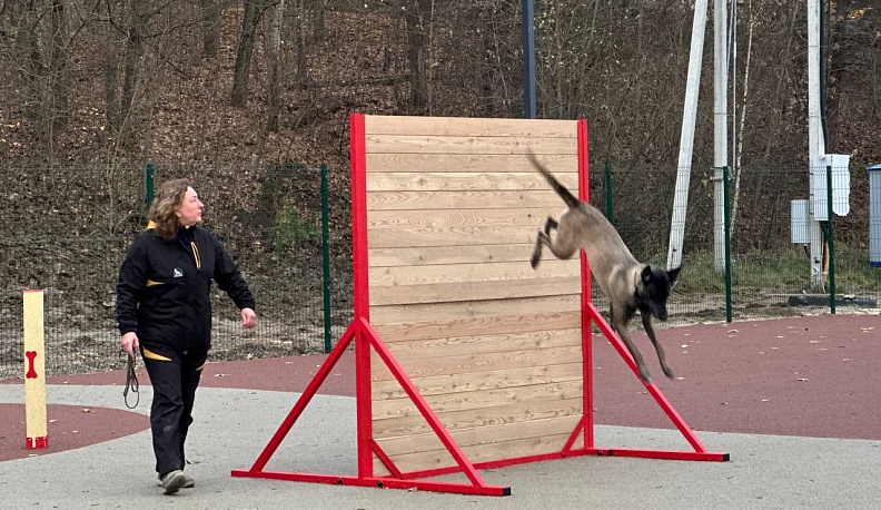 Обновлённая площадка для выгула собак открылась в Калуге 