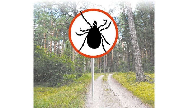 Сезон вампиров  в средней полосе