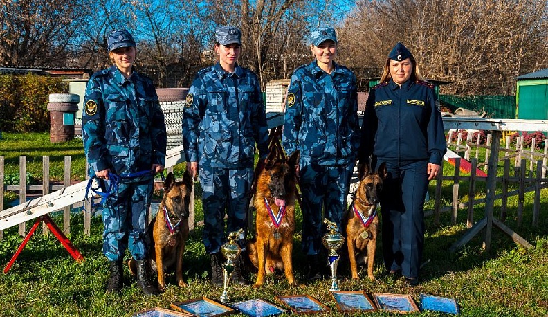 Четвероногие сотрудники