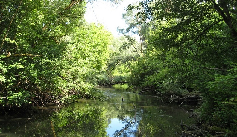 В Кондрове Калужской области утвердили границы памятника природы