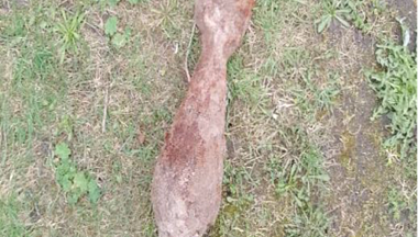 В Ульяновском округе обезвредили минометную мину времен Великой Отечественной войны