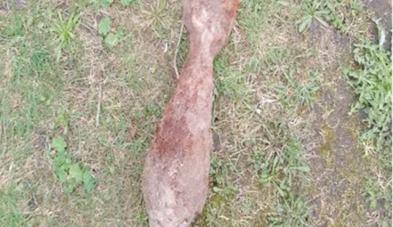 В Ульяновском округе обезвредили минометную мину времен Великой Отечественной войны