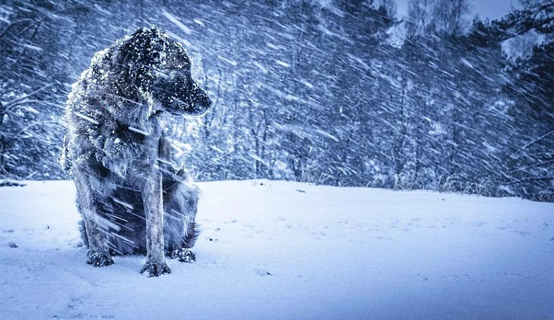 В Калуге похолодало и ожидается снег
