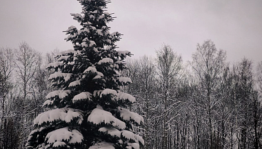 МЧС предупреждает о гололеде в Калужской области