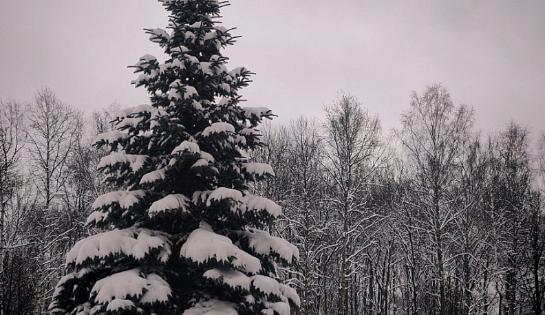 МЧС предупреждает о гололеде в Калужской области