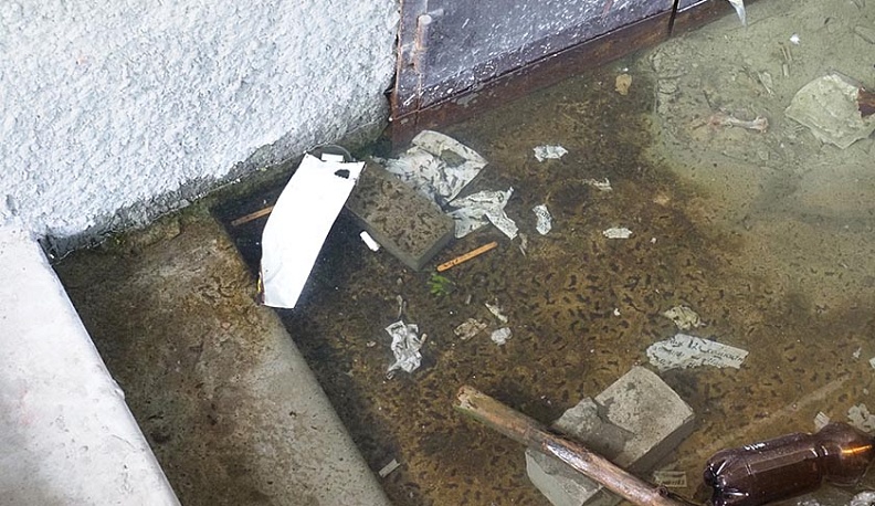 Разверзлись хляби подвальные