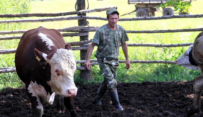 Ферма как образ жизни