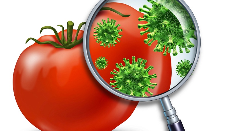 Развенчиваем мифы 