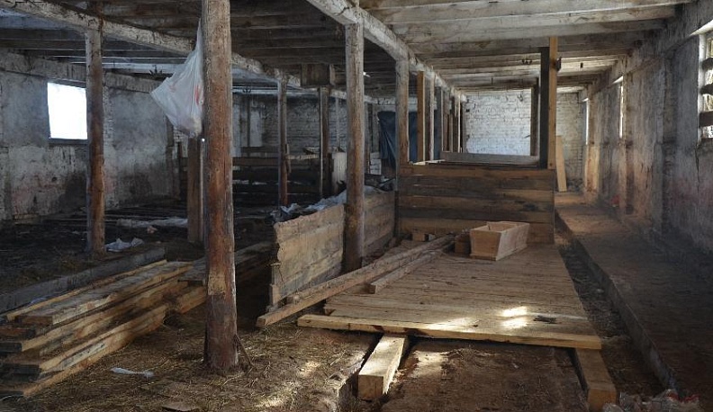 Холода не испугали