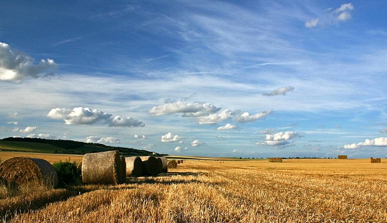 Калужская область примет активное участие в госпрограмме по вовлечению в оборот неиспользуемых сельхозземель