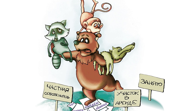 «Феникс»  на птичьих правах