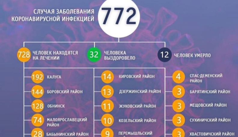 В Калужской области с начала пандемии от коронавирусной инфекции умерло 12 человек
