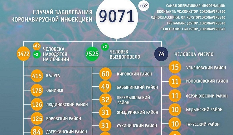 Количество заболевших в Калужской области перешагнуло девять тысяч