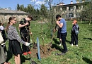Козельские юннаты из села Волконское вступили в движение школьных лесничеств Козельские юннаты из села Волконское вступили в движение школьных лесничеств