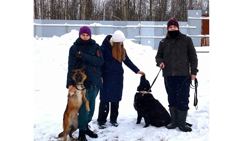 Собака не подарок     – это член семьи