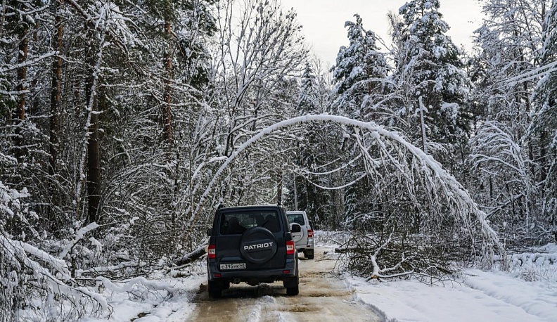Размышления  после «конца света»