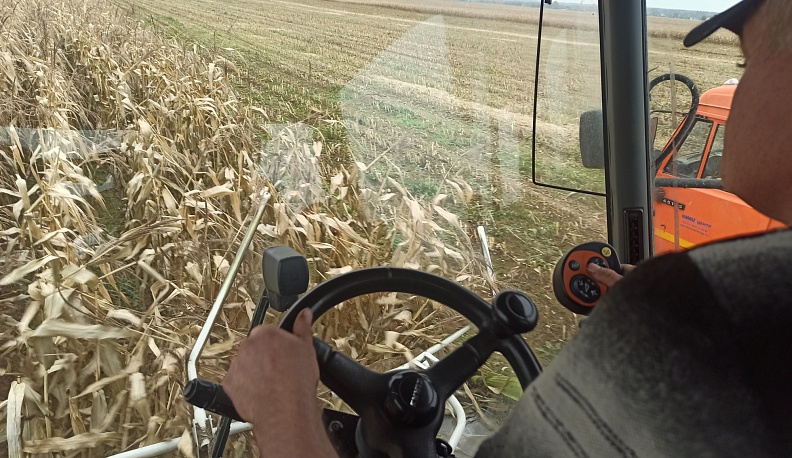 Умелыми руками и добрыми словами