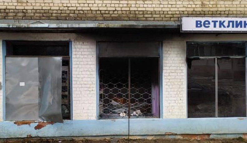 Пожар в калужской ветклинике мог быть спровоцирован