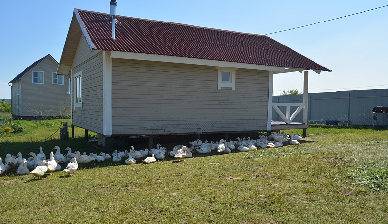Родители участника СВО из Тарусы оформили соцконтракт на подсобное хозяйство