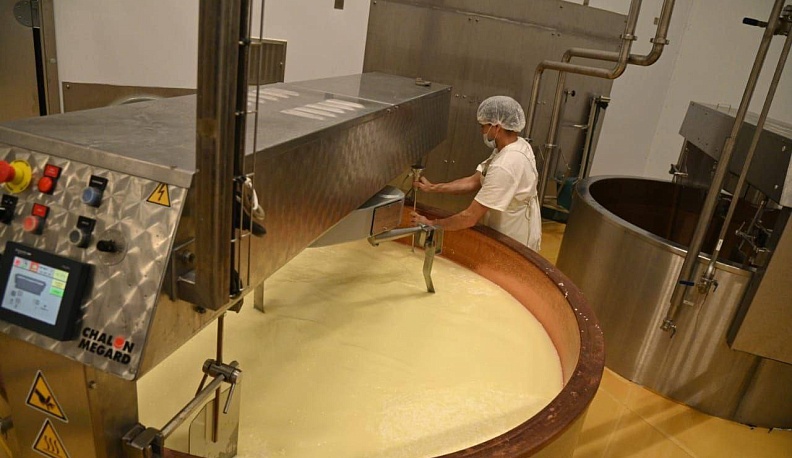 В Калужской области появится завод по производству пармезана и горгонзолы