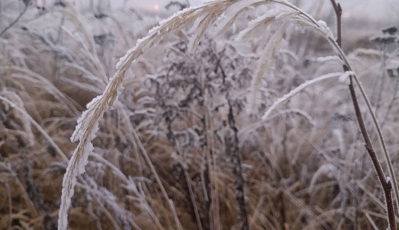 23 декабря в Калуге резко похолодает