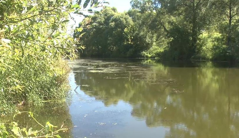 Протва болеет