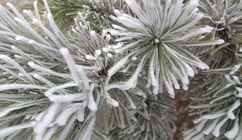 Аномальное декабрьское тепло в Калуге отступает