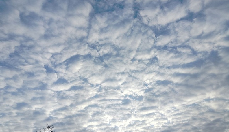 Восемь беспилотников уничтожили в Калужской области 