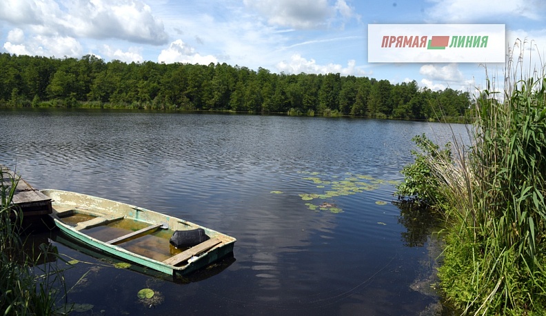 Дорого-зелено