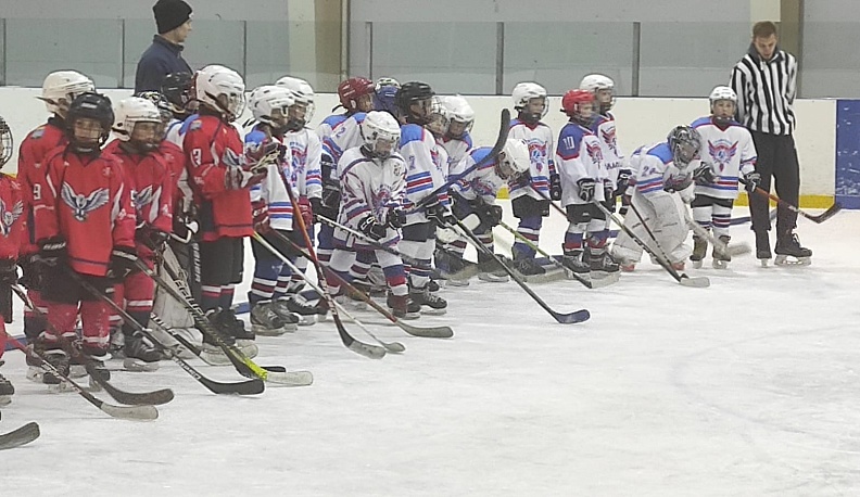 В Калуге завершился межрегиональный детский хоккейный турнир