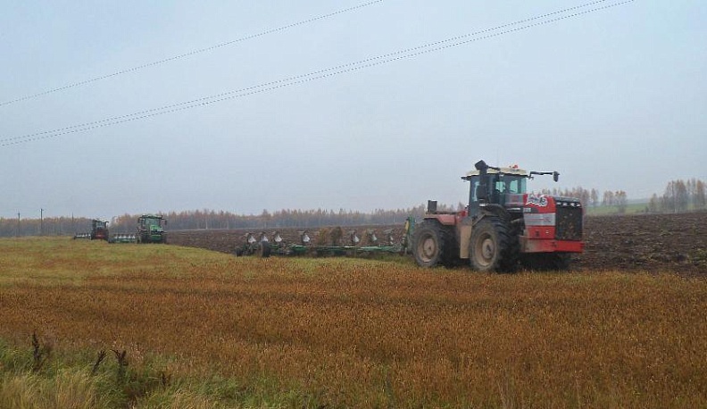 Зябь для будущего урожая поднимают в Куйбышевском районе
