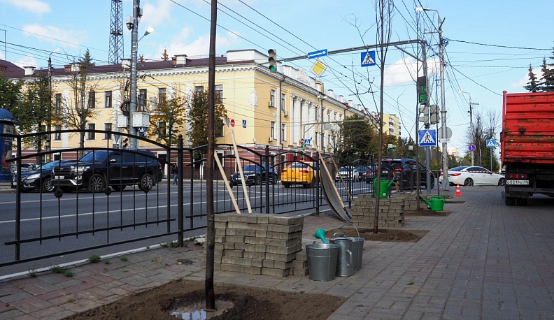 В центре Калуги высадили молодые деревья