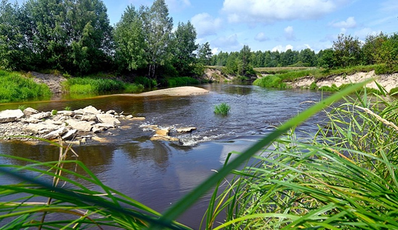 Плыть по... руке