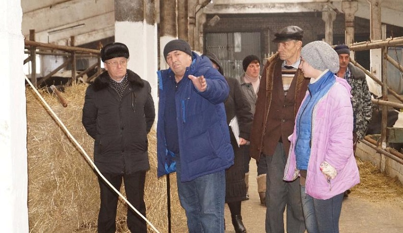 Как там, на селе?