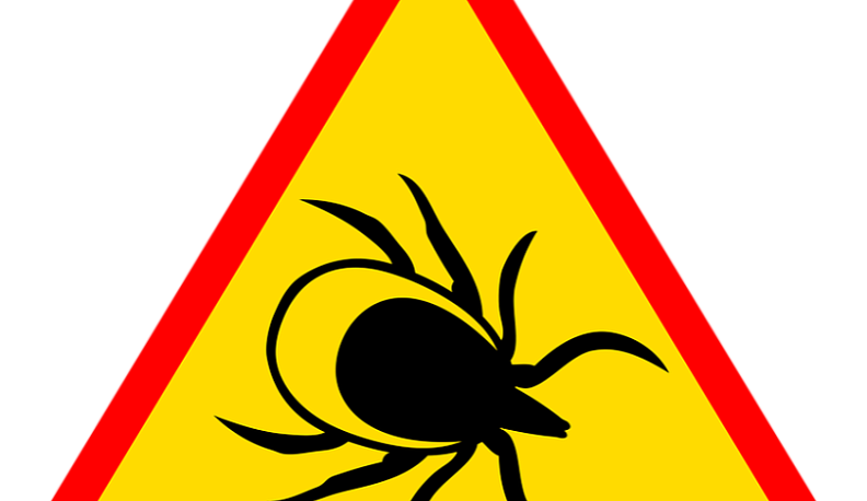Как вытащить клеща, покажет региональное телевидение