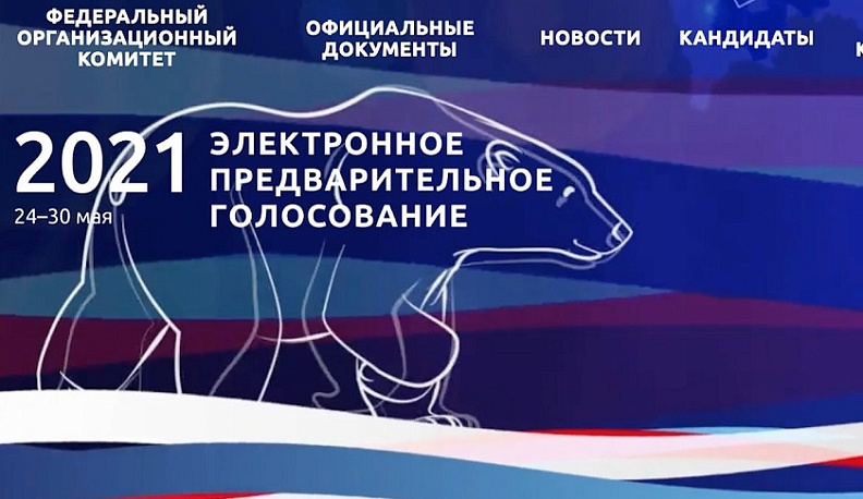 Дарья Никеева: "Около половины всех кандидатов предварительного голосования – волонтеры"