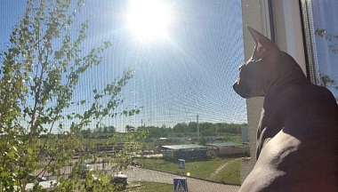 Март 2026 года в Калуге занимает третье место по теплу за всю историю наблюдений