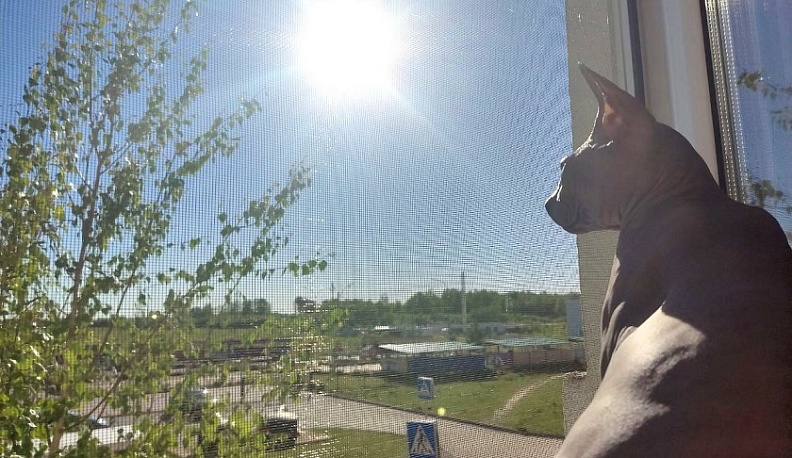 Март 2026 года в Калуге занимает третье место по теплу за всю историю наблюдений