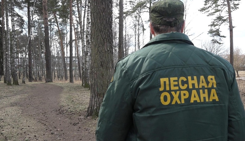 В лесах Калужской области провели более двух тысяч противопожарных рейдов 