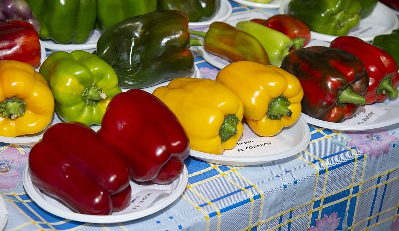 В калужском Доме народного творчества и кино «Центральный» открылась выставка даров сада и огорода