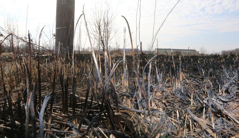 В Калужской области пожарные 102 раза тушили горящую траву
