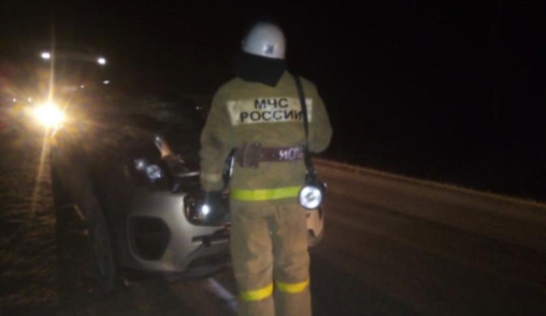 В Тарусском районе иномарка сбила пешехода