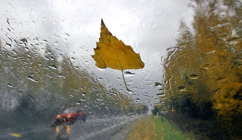 В Калужской области ждут сильный дождь с порывами ветра